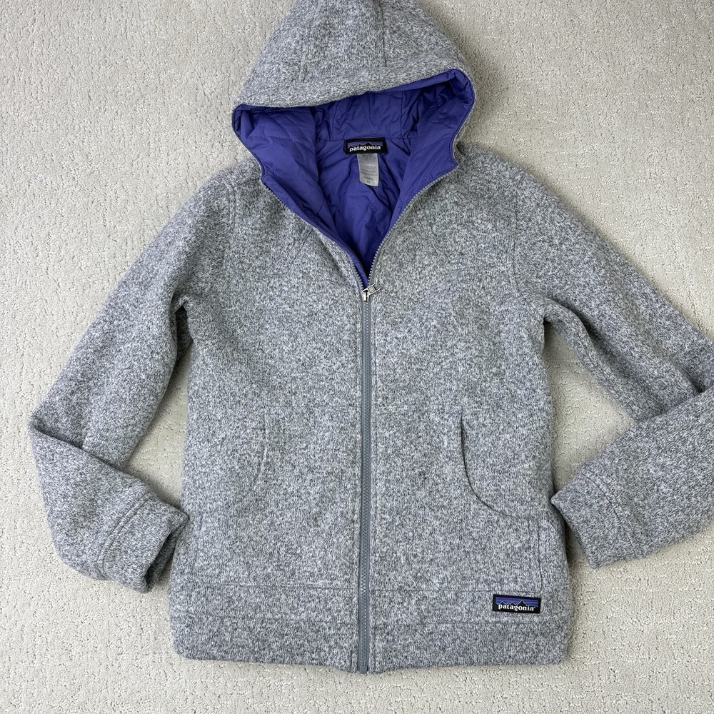 Patagonia Better Sweater Insulated Hoody Womens XS Gray Purple Lined $199 25870